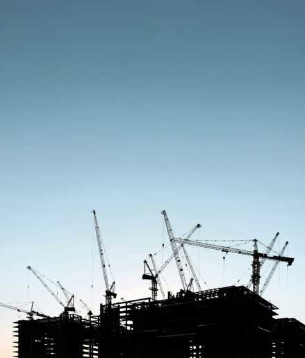 Ny ordre │ Havmågerne vender ”hjem” til Aarhus